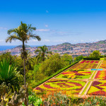 Botanical garden in Funchal, Madeira island, Portugal