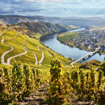 Piesport
