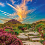 _ireland-7370706_web