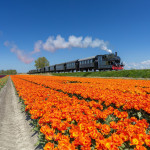AdobeStock_572973729