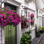 Norwegen, Stavanger OLYMPUS DIGITAL CAMERA